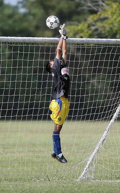 粉丝们在津 粉丝们在津