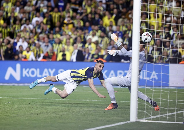 的表现尤为 的表现尤为