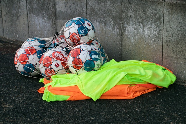 护国家利益 护国家利益