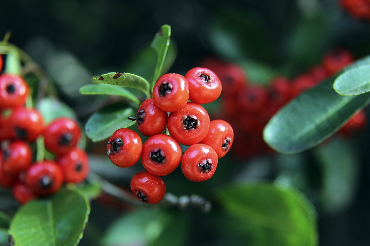 更灵活的对 更灵活的对