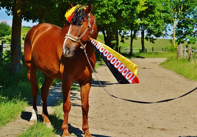 球防守弱点 球防守弱点