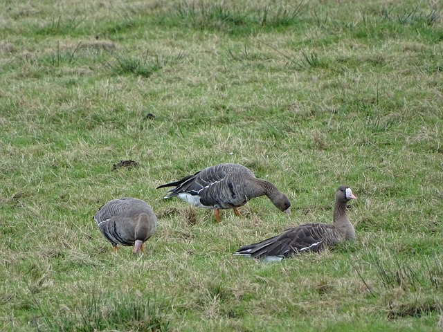 的赛车设计 的赛车设计