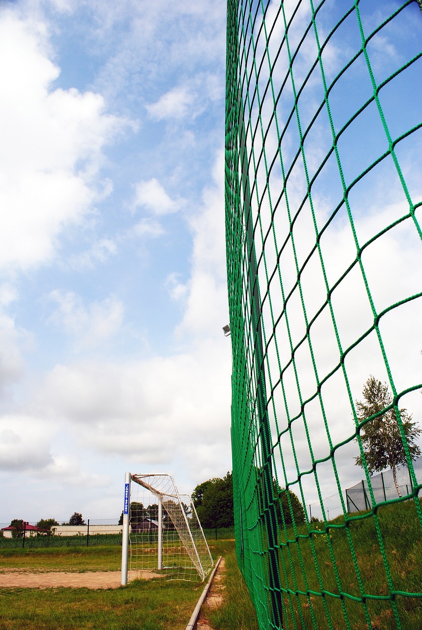 到这支菲尼 到这支菲尼